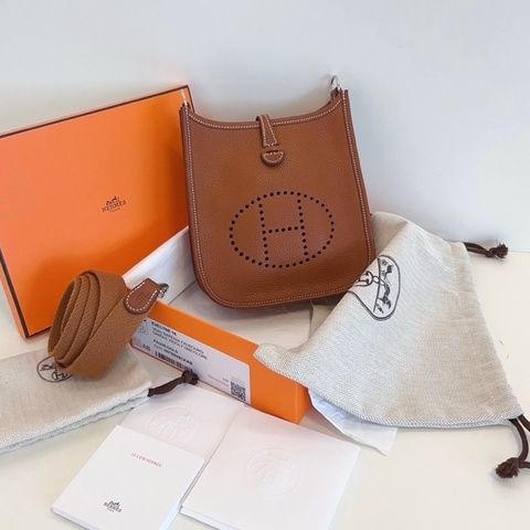 Hermès Evelyne Mini 金棕銀扣