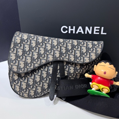 Dior 老花刺繡馬鞍胸包 尺寸約26*18  20年編碼。