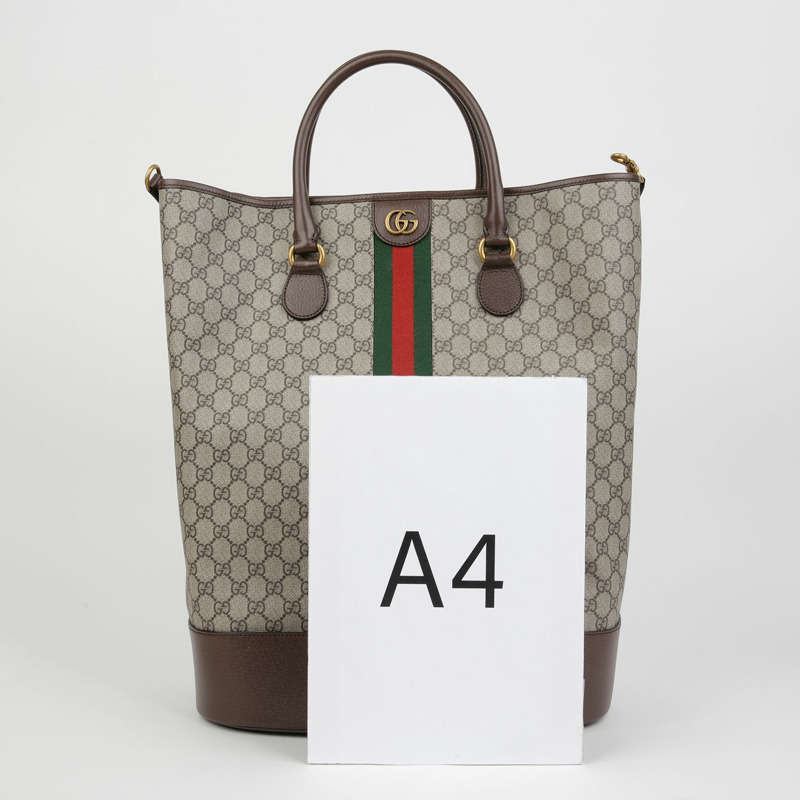 GUCCI Savoy Ophelia 旅行手提包 760227-5