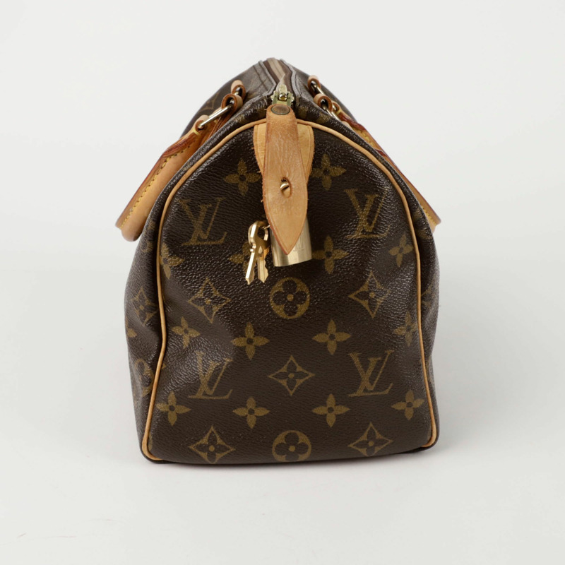 LOUIS VUITTON M41528 Speedy 25 手提袋-2