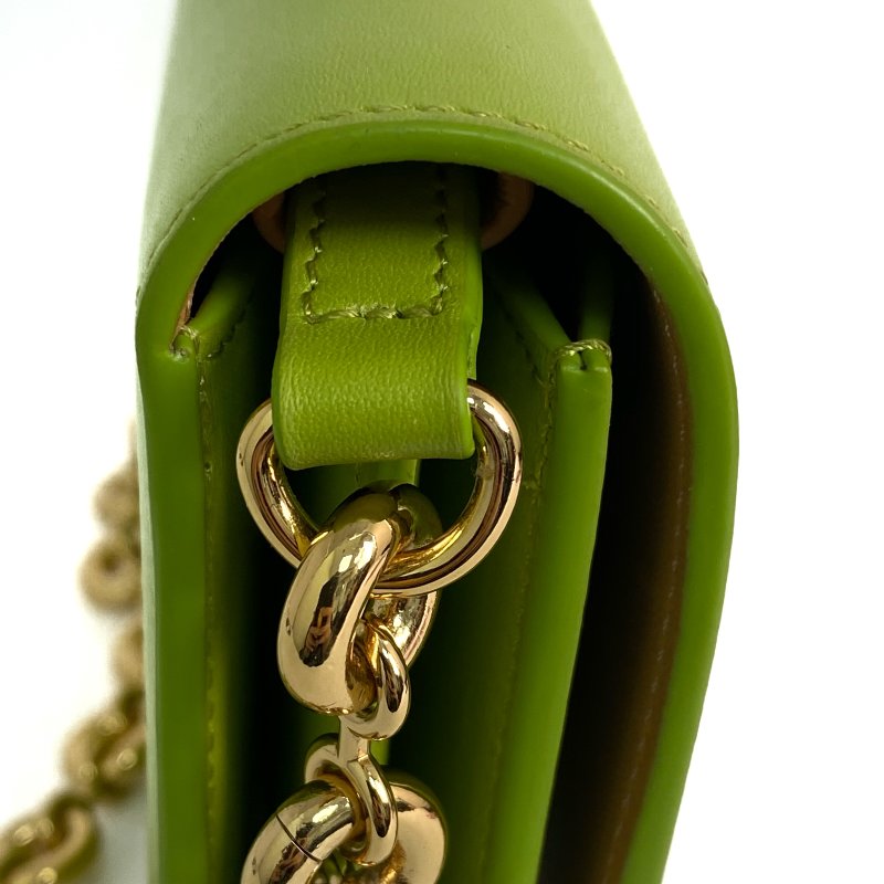 ☆ Loewe 羅意威 Green Lambskin Goya Chain Shoulder Bag 綠色小羊皮鏈條肩揹袋 - 257019151-5