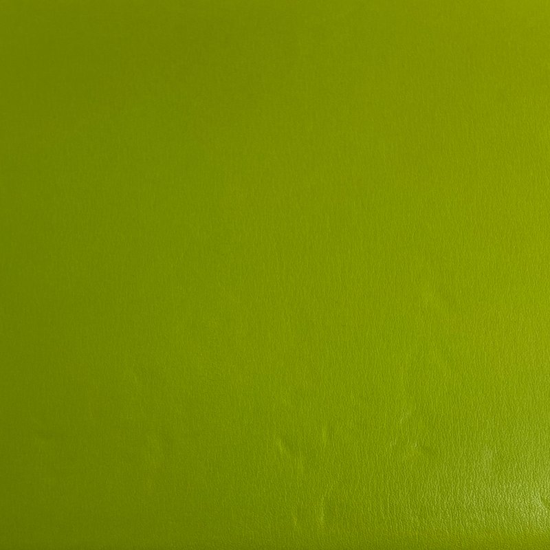 ☆ Loewe 羅意威 Green Lambskin Goya Chain Shoulder Bag 綠色小羊皮鏈條肩揹袋 - 257019151-12