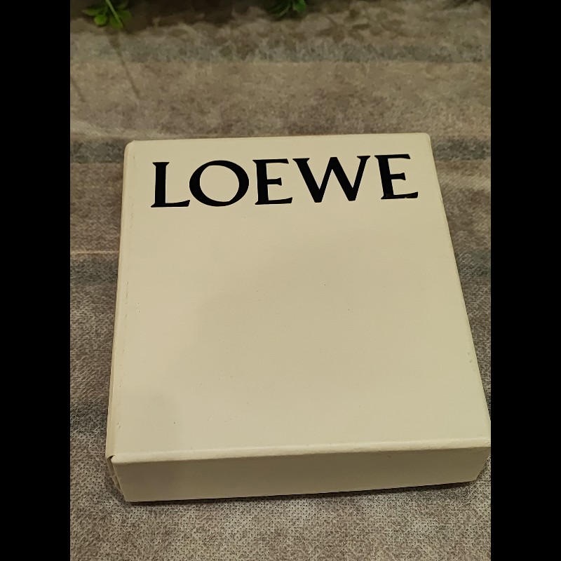Loewe Key Case-12