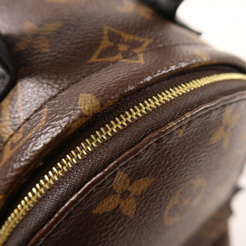 LOUIS VUITTON Monogram Palm Springs Mini金扣背包-12