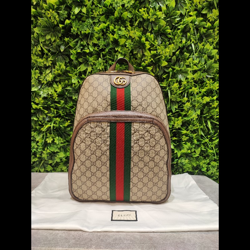 Gucci Ophidia GG Backpack-0