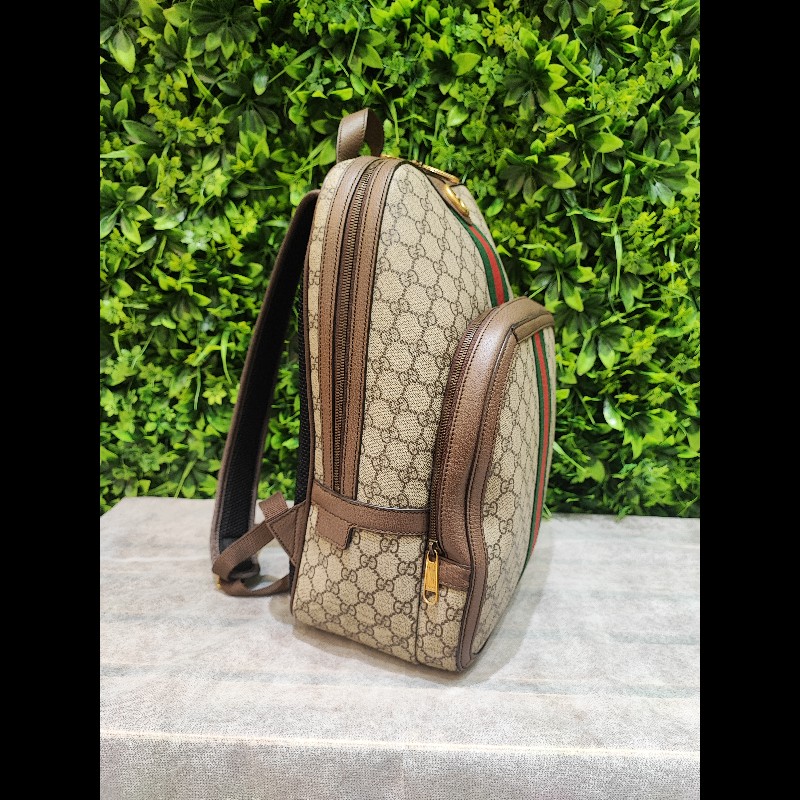 Gucci Ophidia GG Backpack-2