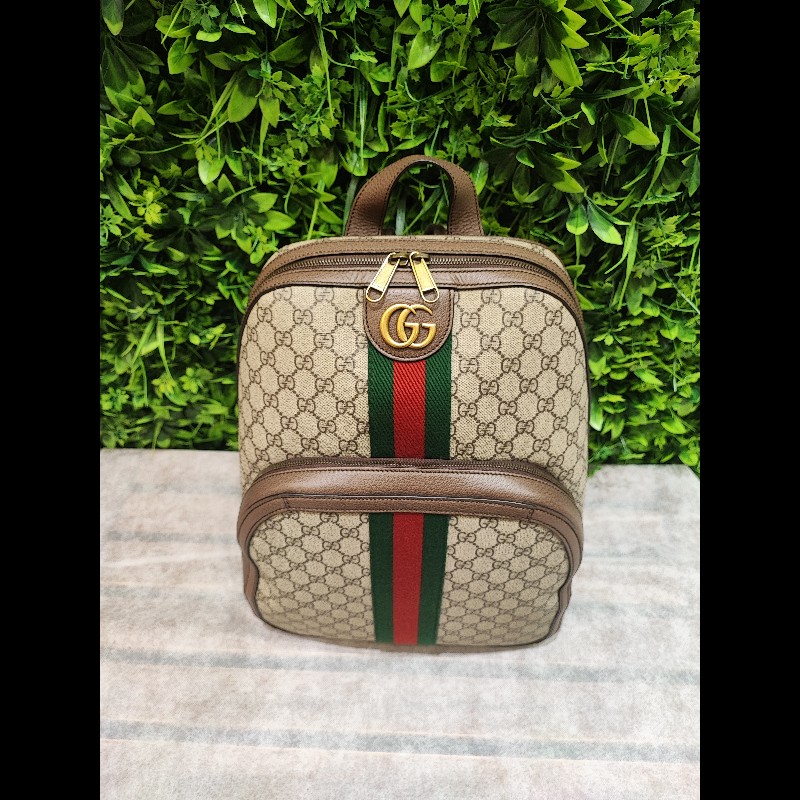 Gucci Ophidia GG Backpack-4