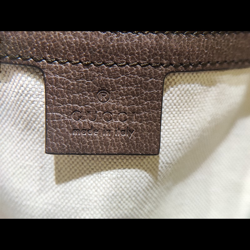 Gucci Ophidia GG Backpack-12