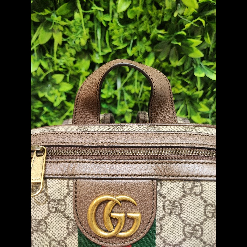 Gucci Ophidia GG Backpack-16