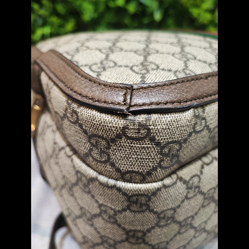 Gucci Ophidia GG Backpack-17