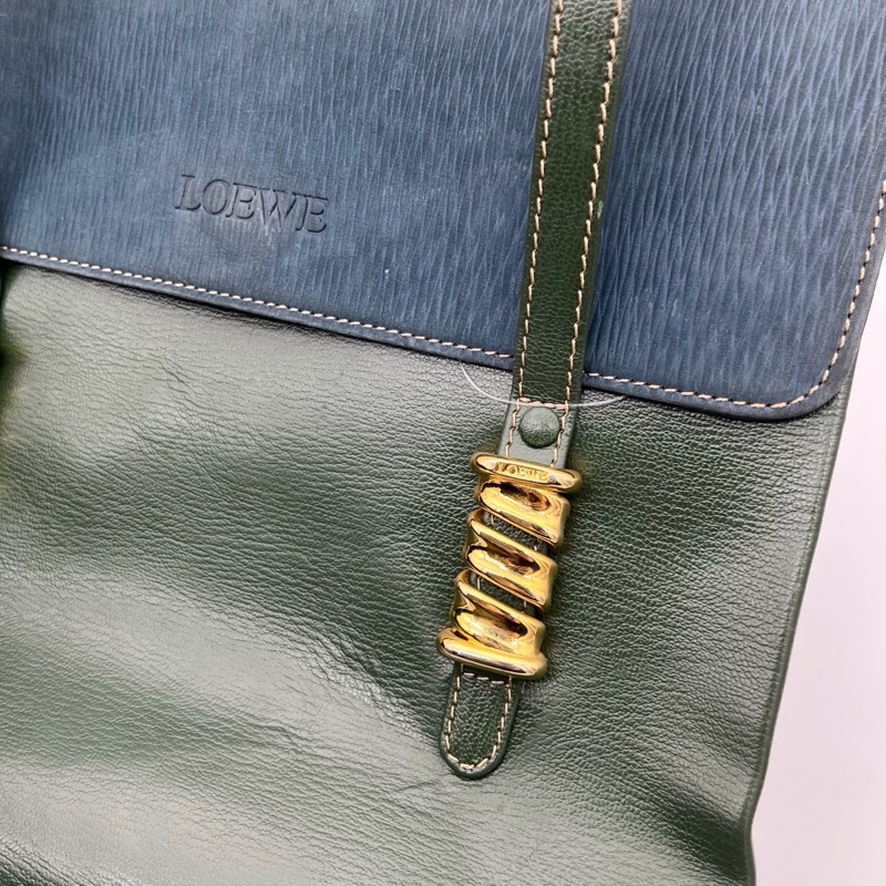 「JL精品代購」Loewe綠藍拼色蛇骨單肩公文包-13