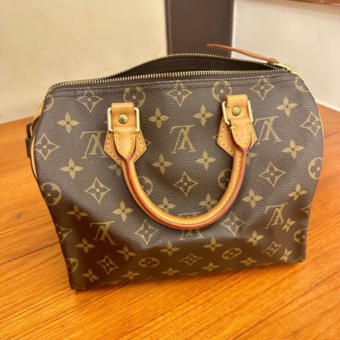 LV speedy 25 手提款