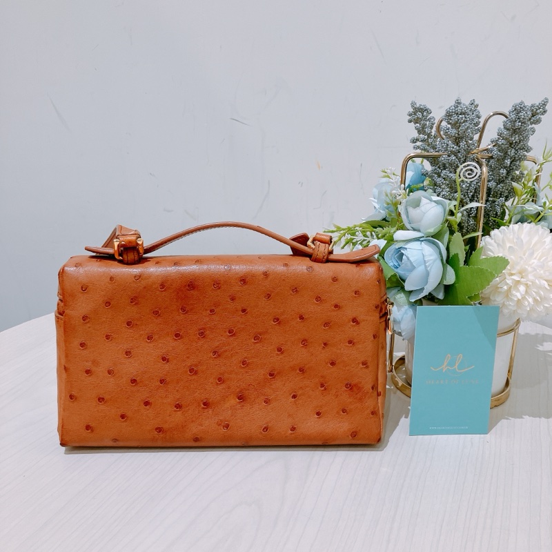 TK1861 LORO PIANA 諾悠翩雅經典鴕鳥皮手拿兩用包包OSTRICH L19 EXTRA POCKET POUCH-2