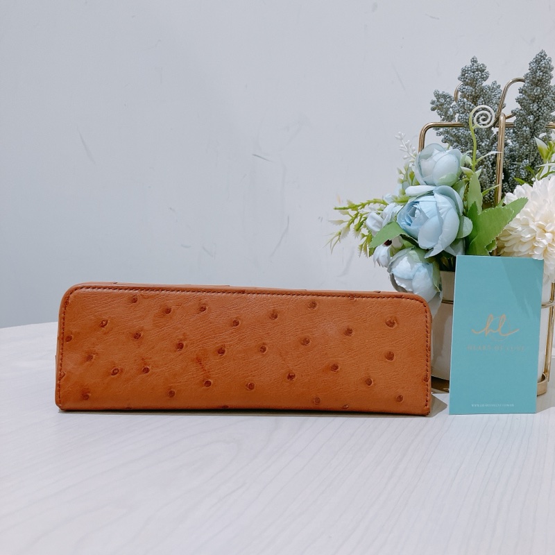 TK1861 LORO PIANA 諾悠翩雅經典鴕鳥皮手拿兩用包包OSTRICH L19 EXTRA POCKET POUCH-5