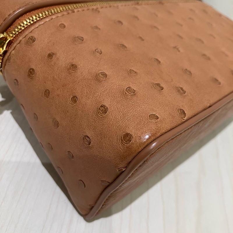 TK1861 LORO PIANA 諾悠翩雅經典鴕鳥皮手拿兩用包包OSTRICH L19 EXTRA POCKET POUCH-28