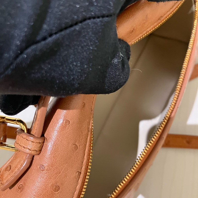 TK1861 LORO PIANA 諾悠翩雅經典鴕鳥皮手拿兩用包包OSTRICH L19 EXTRA POCKET POUCH-33