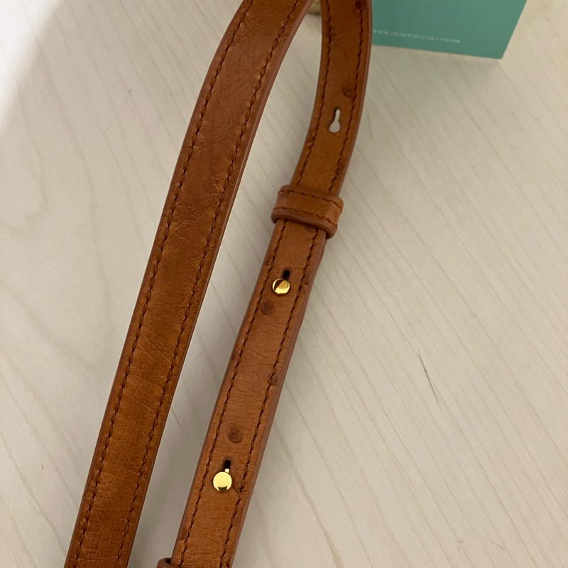 TK1861 LORO PIANA 諾悠翩雅經典鴕鳥皮手拿兩用包包OSTRICH L19 EXTRA POCKET POUCH-37