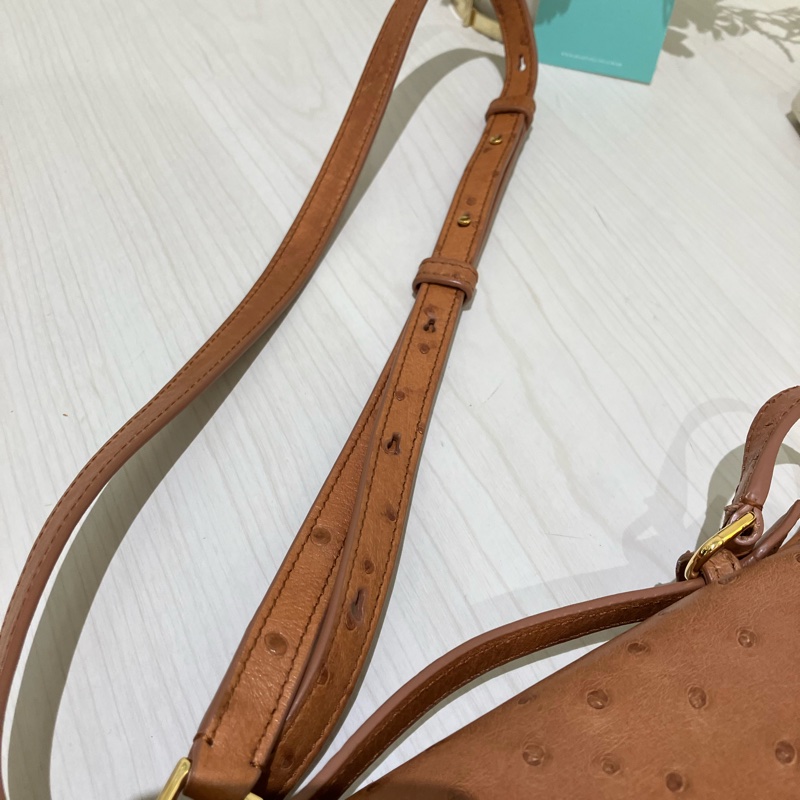 TK1861 LORO PIANA 諾悠翩雅經典鴕鳥皮手拿兩用包包OSTRICH L19 EXTRA POCKET POUCH-46