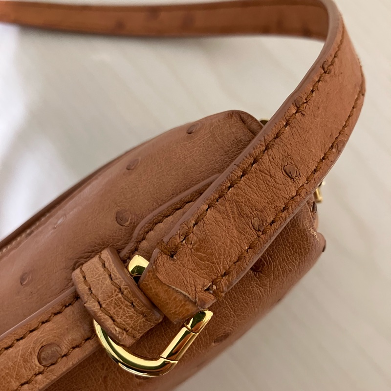 TK1861 LORO PIANA 諾悠翩雅經典鴕鳥皮手拿兩用包包OSTRICH L19 EXTRA POCKET POUCH-48