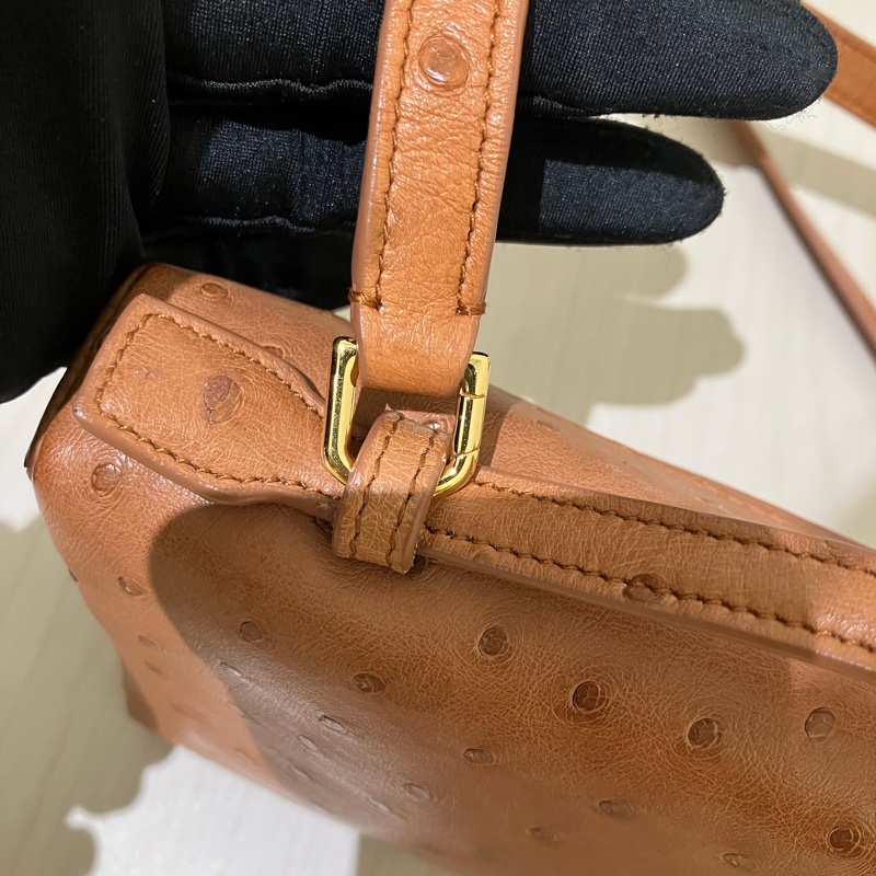 TK1861 LORO PIANA 諾悠翩雅經典鴕鳥皮手拿兩用包包OSTRICH L19 EXTRA POCKET POUCH-50