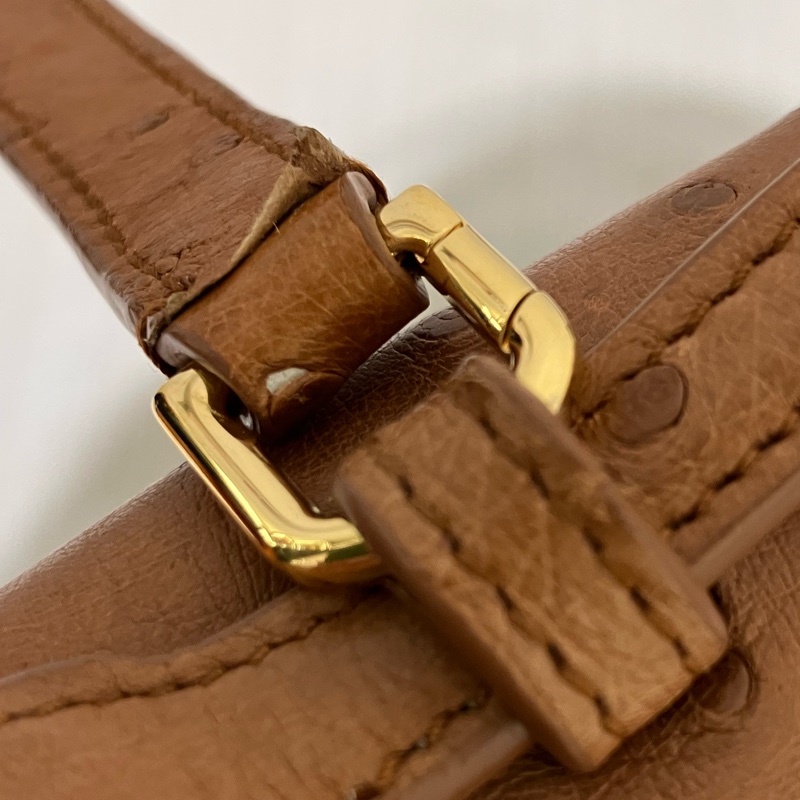 TK1861 LORO PIANA 諾悠翩雅經典鴕鳥皮手拿兩用包包OSTRICH L19 EXTRA POCKET POUCH-35