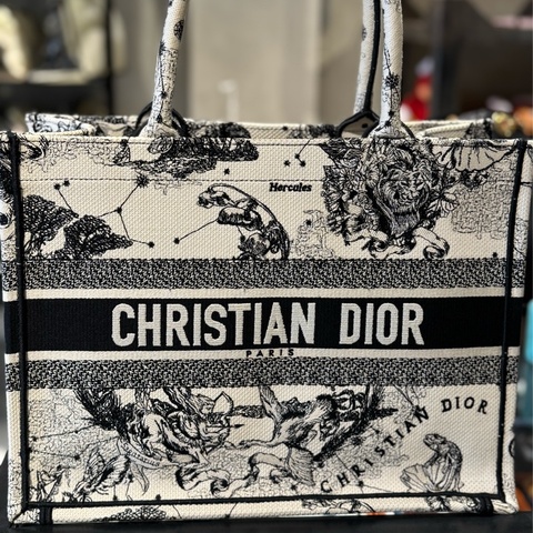 Dior手提帆布包（中款）