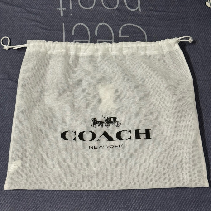 COACH Teri 冰川白老花 肩背/側背包-4