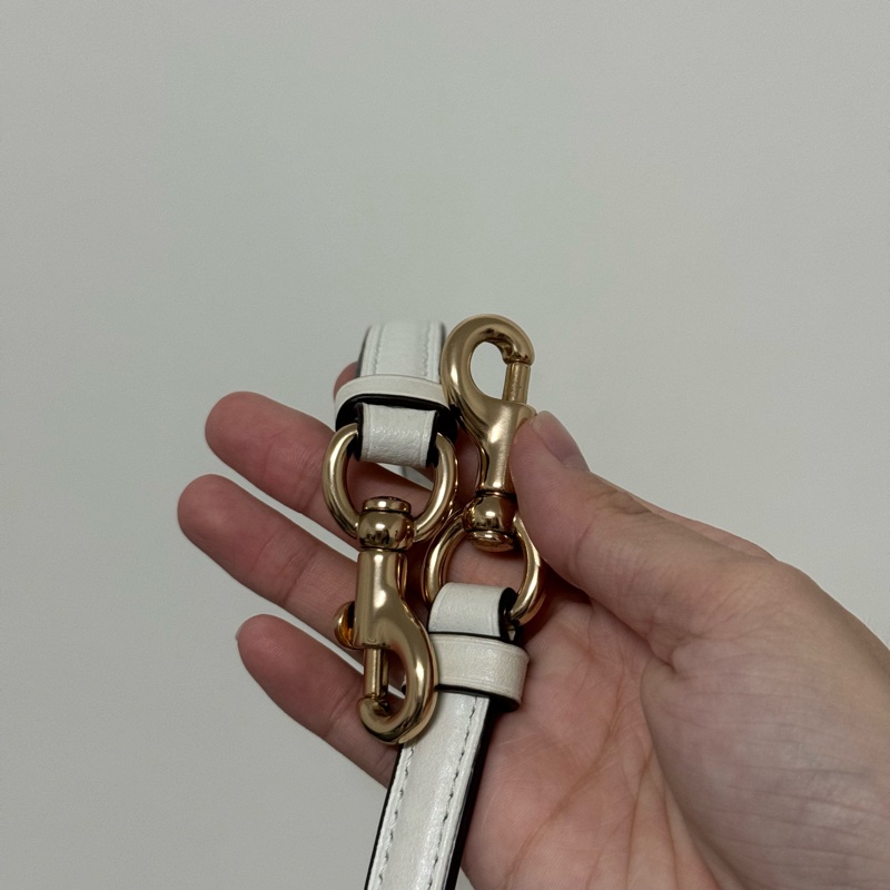 COACH Teri 冰川白老花 肩背/側背包-17