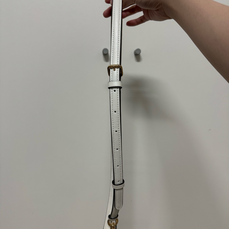 COACH Teri 冰川白老花 肩背/側背包-18