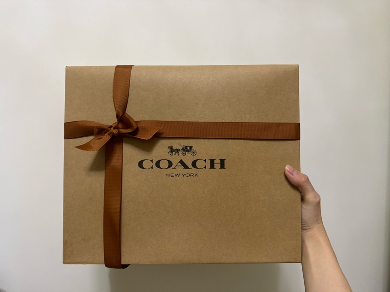 COACH Teri 冰川白老花 肩背/側背包-21