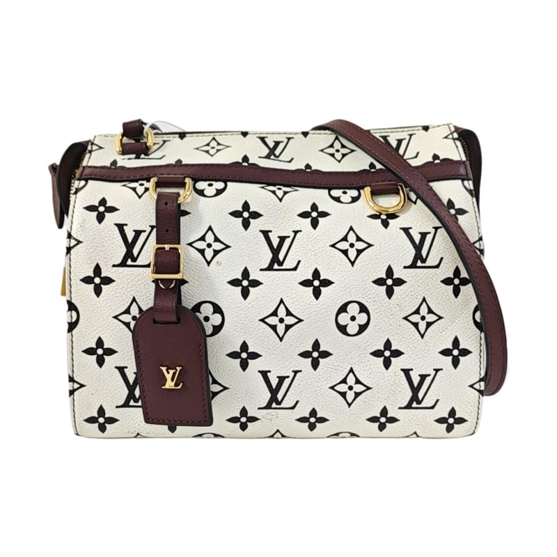 LOUIS VUITTON SPEEDY 25 白色塗層帆布老花波士頓包單肩包斜挎包 金色五金-0