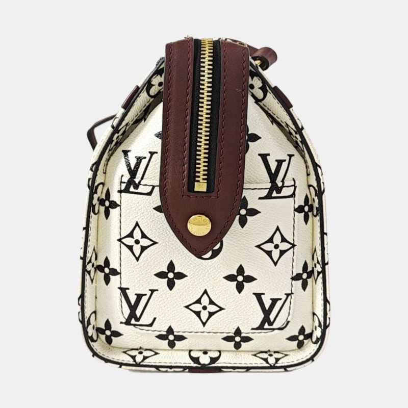 LOUIS VUITTON SPEEDY 25 白色塗層帆布老花波士頓包單肩包斜挎包 金色五金-2
