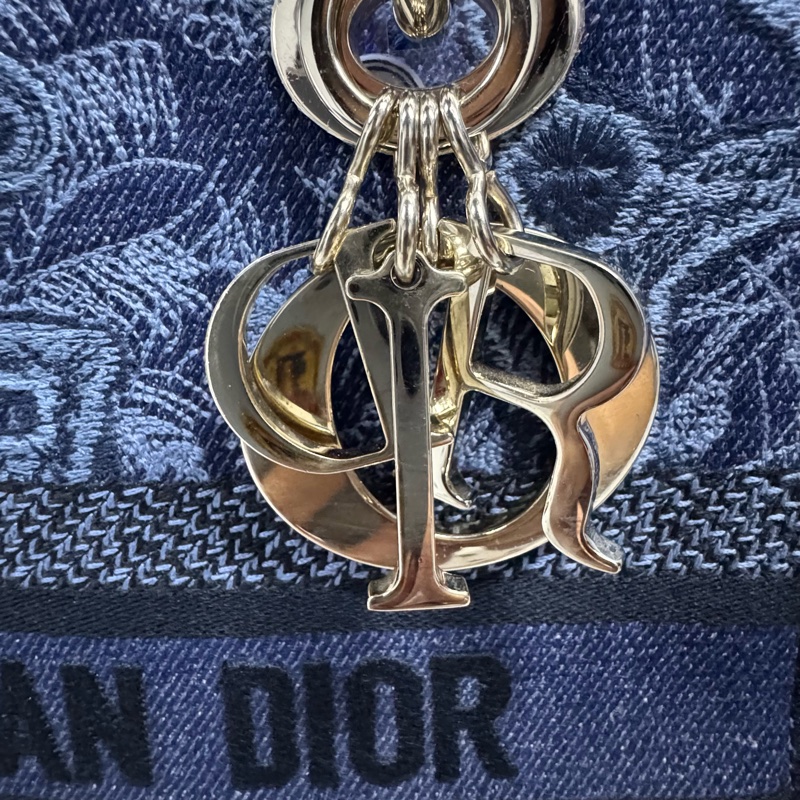 Christian Dior 迪奧戴妃Lady D-Lite刺繡中號-1