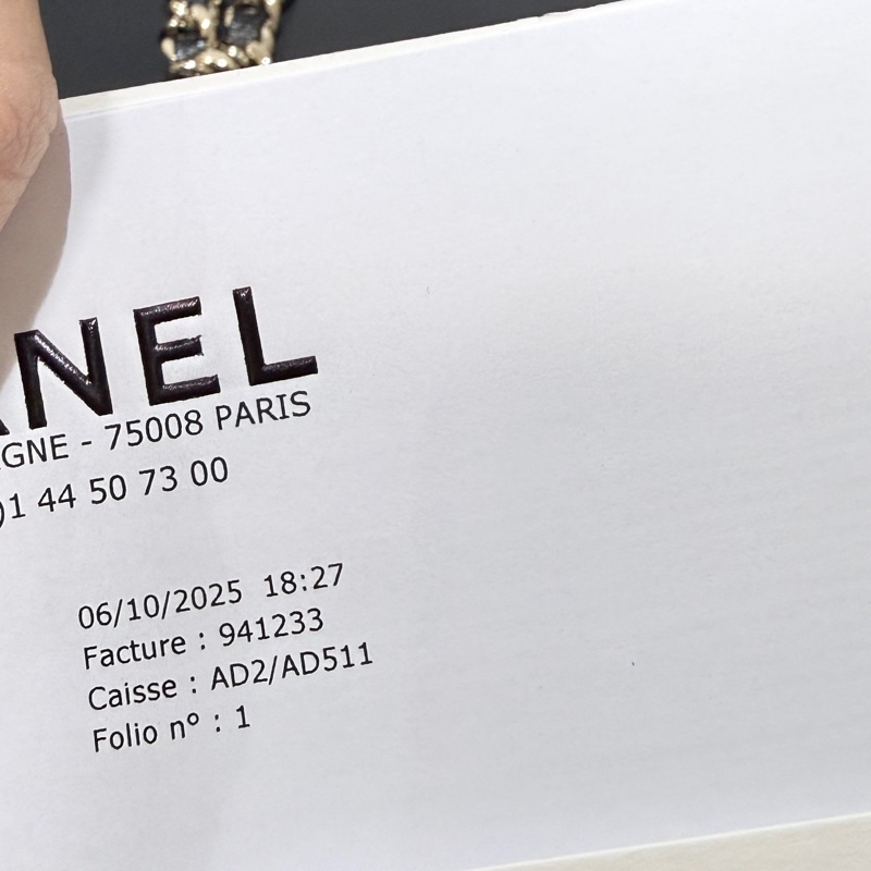 Chanel 31 bag nano-9