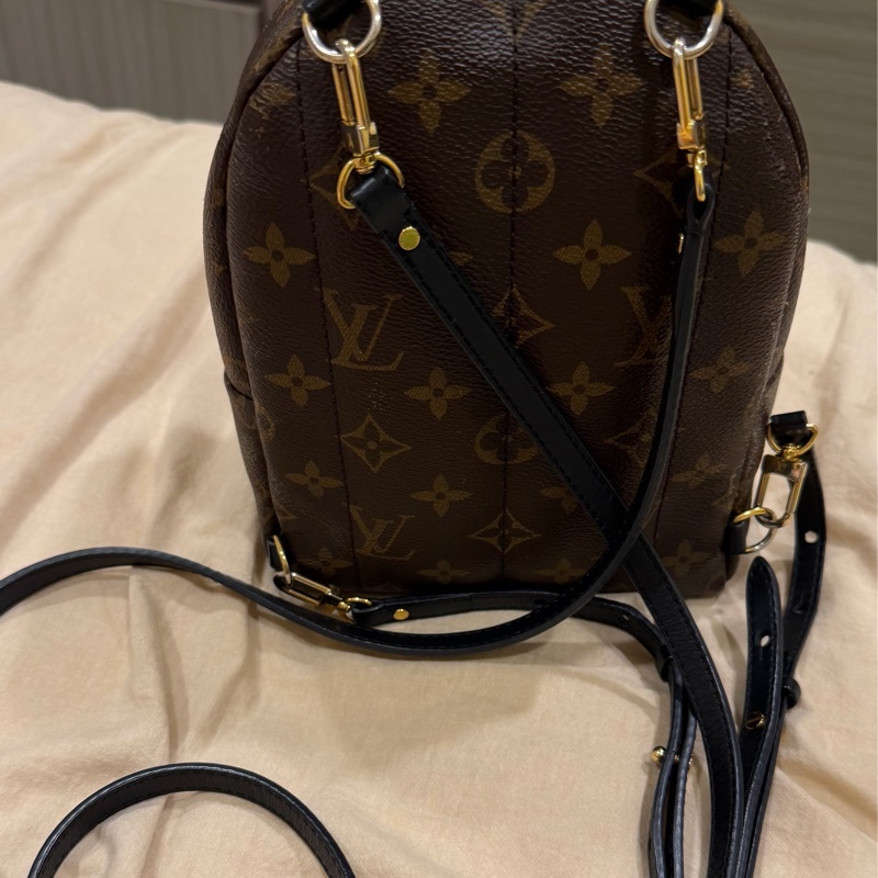 LV mini小書包（M44873 Palm Springs Mini）-2