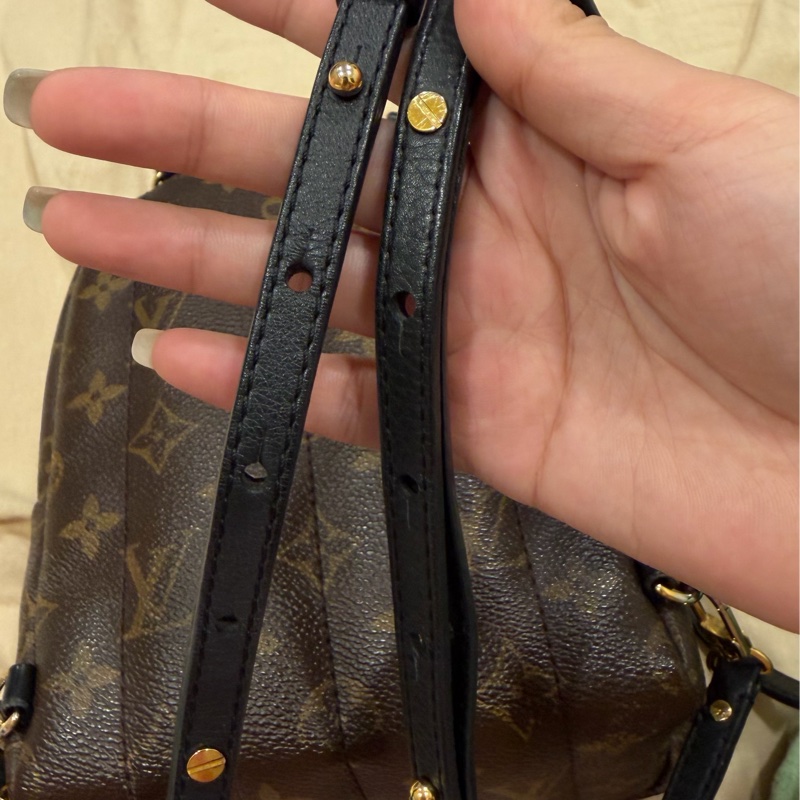 LV mini小書包（M44873 Palm Springs Mini）-3