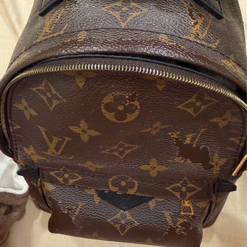 LV mini小書包（M44873 Palm Springs Mini）-7
