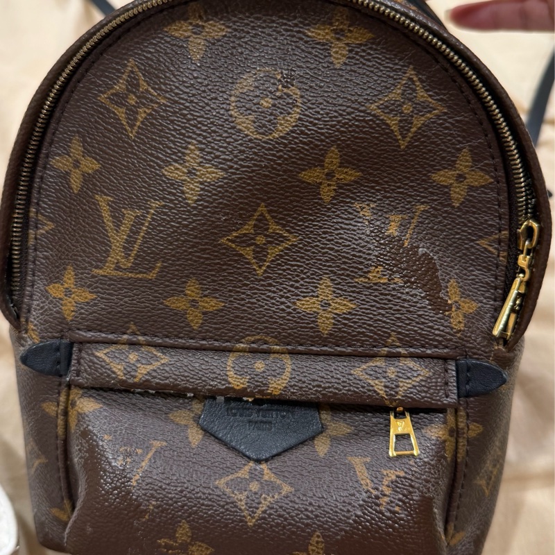 LV mini小書包（M44873 Palm Springs Mini）-8