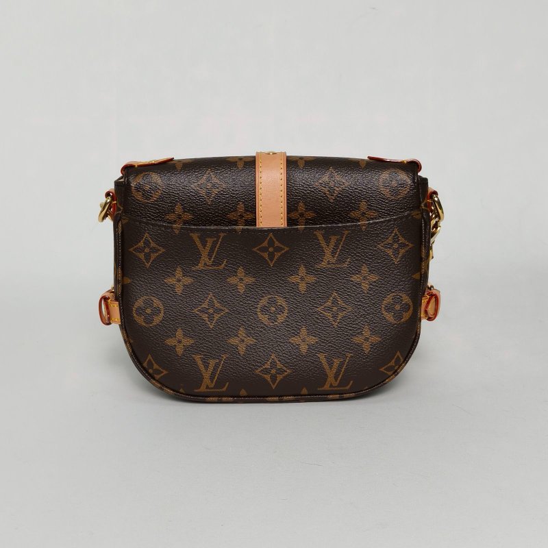 LOUIS VUITTON Saumur雙子星小號20老花PVC晶片肩背包-1