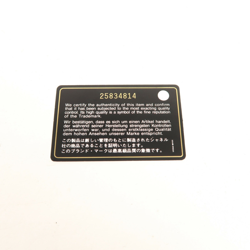 CHANEL 牛皮皮革Gabrielle Wallet On Chain鏈帶肩背袋-9