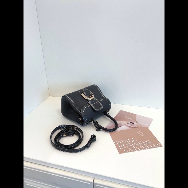 Delvaux Brilliant mini-3