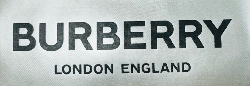 ✨好看實用 Burberry巴寶莉 超美黑銀新款雙層相機包 肩背 斜背包-4