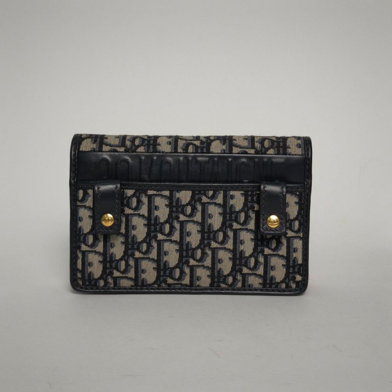 DIOR 30Montaigne蒙田二合一WOC腰包老花帆布金扣2020肩背包-2