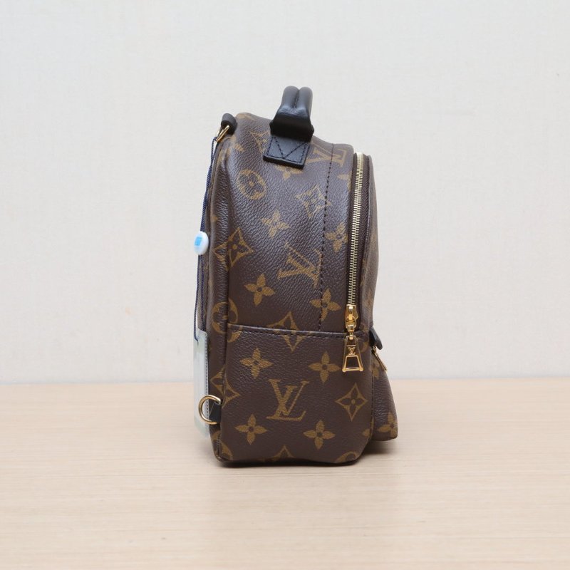 LOUIS VUITTON PalmSprings小書包Mini17新款拉鏈外露老花PVC晶片肩背包-3