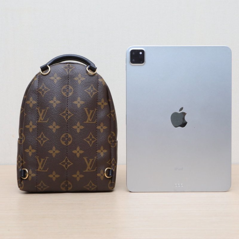 LOUIS VUITTON PalmSprings小書包Mini17新款拉鏈外露老花PVC晶片肩背包-4