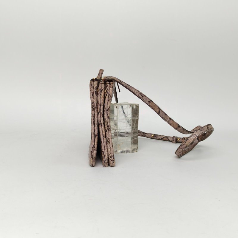 CELINE 圖案蛇皮CELINE三層斜挎包肩背包-1