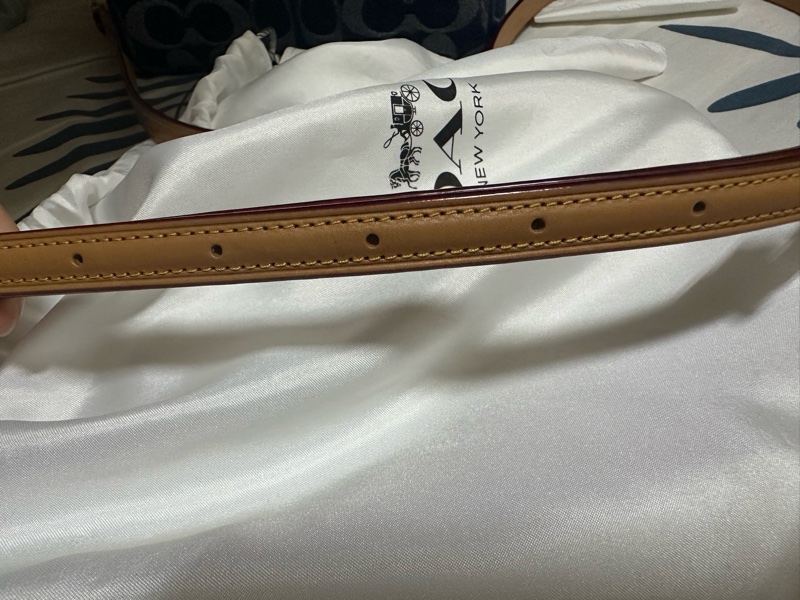 COACH 迷你Rowan 斜背包-27