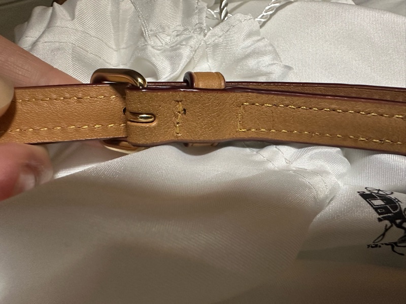 COACH 迷你Rowan 斜背包-31