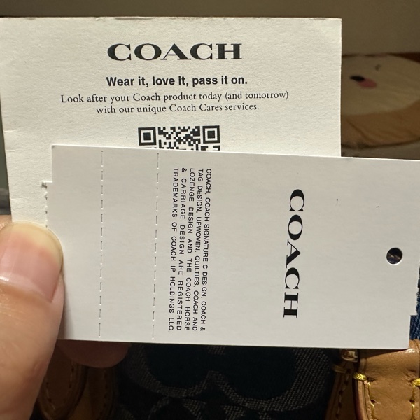 COACH 迷你Rowan 斜背包-33