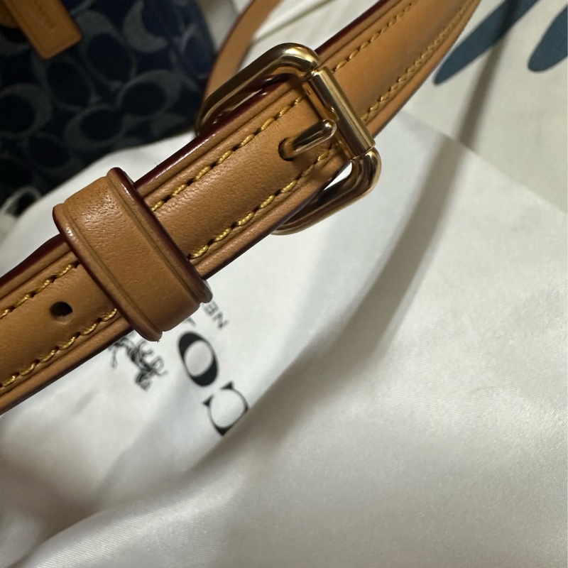 COACH 迷你Rowan 斜背包-40